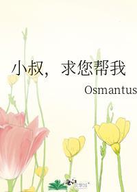 狼兔爱情游戏