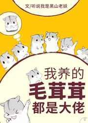 男团人生修正系统