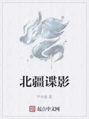 北疆谍影