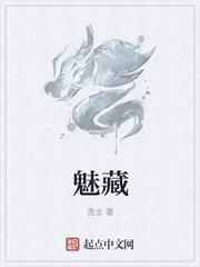 魅藏