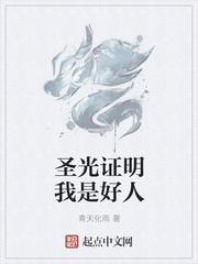 圣光证明我是好人