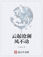 云起沧澜风不动
