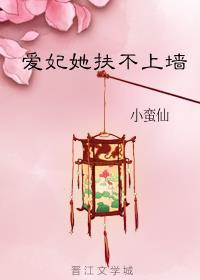 圣手红颜