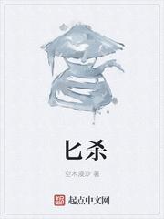 大宋寒士亦正亦邪定乾坤