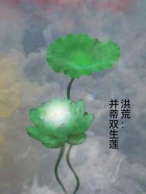四合院：活成别人羡慕的样子