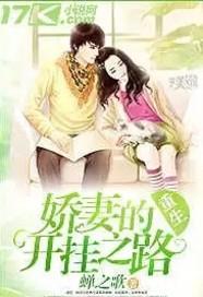 重生娇妻的开挂之路