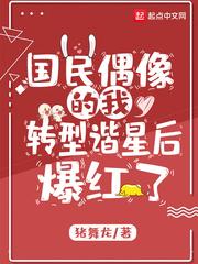 国民偶像的我转型谐星后爆红了