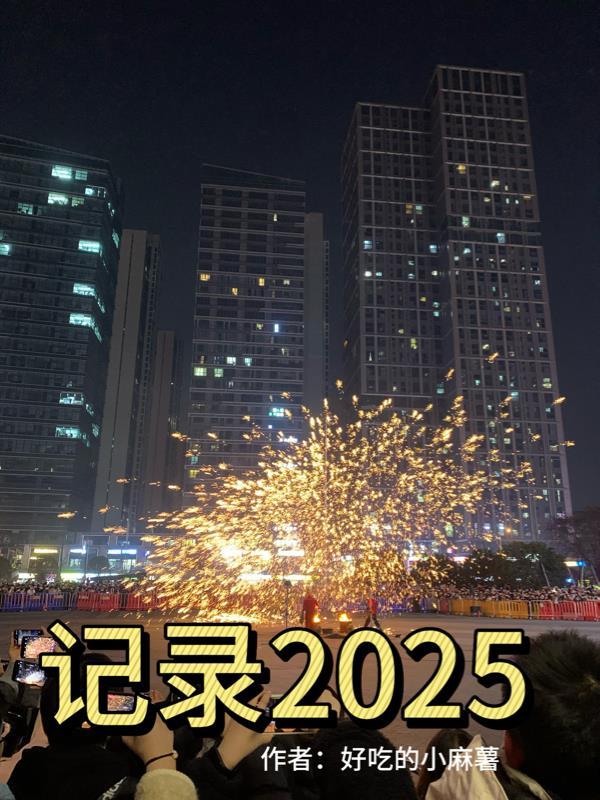 凤舞凰歌