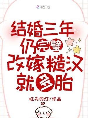 特工之王谍战潜伏23年