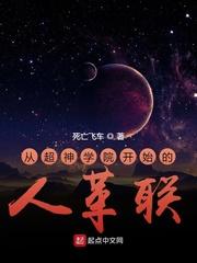 魔法大陆之以权谋世