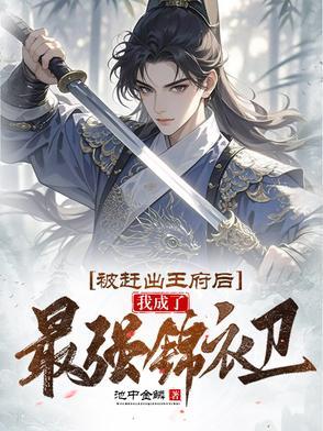 魂穿大汉之卫家天下