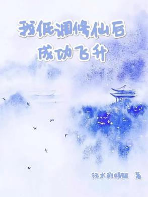 大乾最狂驸马爷