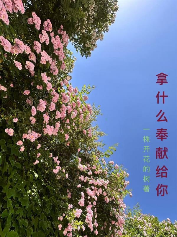 修仙,开局抢走女主最大金手指!