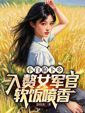 大明御史