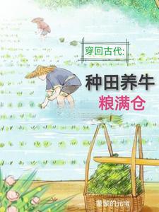 爱你在风起时