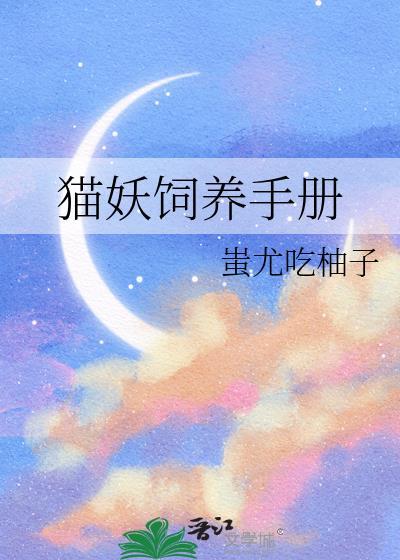 向导不做打工人