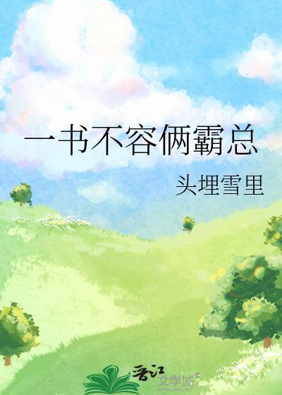 表面绅士