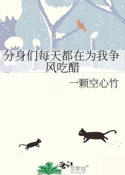 S级向导工作报告