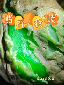 昙花泪