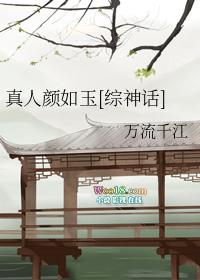文中文,但全职高手!