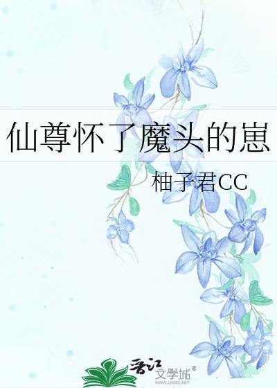 精灵的向导